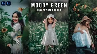 Free Moody Green - Lightroom Desktop Presets | free Moody Green Presets | Moody Filter |