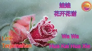 娃娃-花开花谢 (Wa Wa-Hua Kai Hua Xie)