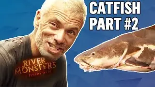 Best Of Catfish! #2 | COMPILATION | River Monsters