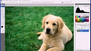 inicio del curso avanzado de photoshop