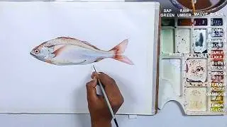 How to Paint a Realistic Fish with Watercolor | Step by Step Tutorial