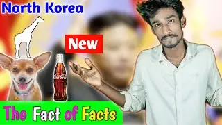 Amazing Random Facts In Hindi | The Fact of Facts Interesting Facts Countdown