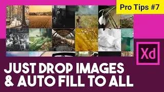 Adobe XD Drag and fill to all feature | Adobe XD pro tips - 7