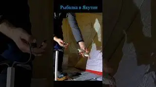 Одна за другой....