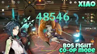 Lvl 90 Xiao vs childe [ Co-op mode ] Genshin impact