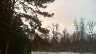 Снегопад. Весна не торопится.