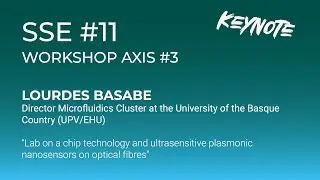 SSE 11 - Workshop Axis 3 - Lourdes Basabe Desmonts