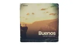 Afrobeat Sample pack |Wizkid x Tems | Buenos 5