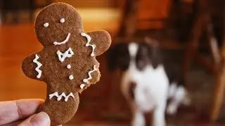 How to make Homemade Treats for your Dog | Homemade Dog Training Treats