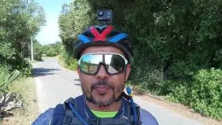 VEJA O QUE A MOSCA FEZ 