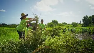 Sustainable Future (:30)
