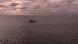 Nature Ocean