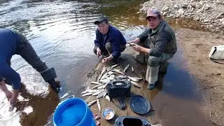 Видео безработного блогера