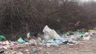 Стихійне сміттєзвалище неподалік села Черна