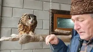 Пополнение 🐣у Филинов🦉 Парк Миниатюр 🌲