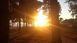 Relaxing / Asmr . Asmr for sleep. Relaxing music. Dream  music. Meditation music. Asmr sleep.  ASMR.