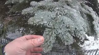 В ЛЕДЯННОМ ПЛЕНУ. ЖИЗНЬ ПОД ПРИЦЕЛОМ.ПОКАТУШКИ.ДОРОГОЙ КРАБ.НОВЫЙ ОБЗОРЧИК.