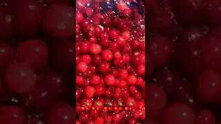 Я подарю тебе 🍒🍒🍒, сладкие, вкусные! ❤#shortvideo#вишни#shorts