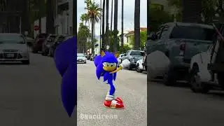 EVERYDAY SONIC LIFE ANIMATION 2 
