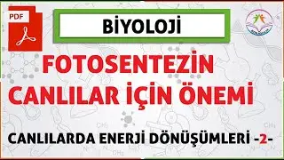 CANLILARDA ENERJİ DÖNÜŞÜMLERİ-2 (Fotosentezin Canlılar İçin Önemi)