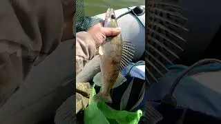 Судак