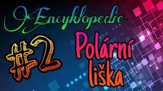 Encyklopedie #2-polární liška