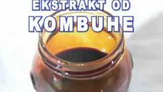PXD KOMBUCHA EXTRACT - PXD KOMBUHA EKSTRAKT