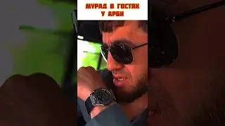 Мура дает жару 😂 #мма #popmma #мурад #арби #mma
