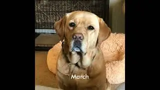 Page is 6 Years Old