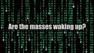 The Illusion of Reality / Are We Waking Up from the Matrix?