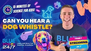 Sounds Only Dogs Can Hear!