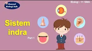 Sistem indra part 1 - Biologi kelas 11 SMA