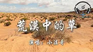 小法哥 - 荒漠中的草『我是荒漠中的草 怎敢奢望誰撐腰 半生風沙中飄搖 傷痛只能自己熬』【動態歌詞MV】