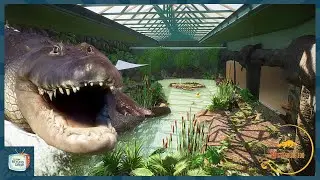 Leopard Shark, Spectacled Caiman and American Alligator | Sunset Ridge Zoo | Planet Zoo