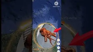 Octopus 🐙on road found on google earth and google map #1k#shorts