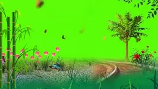 new signature video green screen green screen effect green screen video wedding green screen video