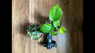 Unboxing Canon M50 - My new Mirrorless Camera