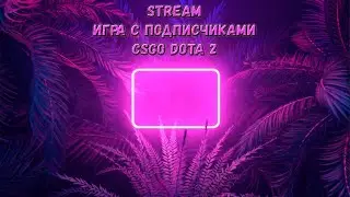 CSGO DOTA2 STREAM ИГРА С ПОДПИСЧИКАМИ 