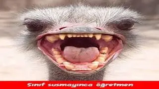 Güldüren  Öğrenci Öğretmen Diyalogları