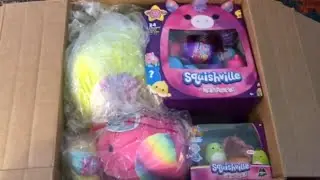 Surprise Box Filled With Squishmallows! 