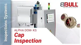 BBULL ALPHA DOM-KS | Automated smart camera full crate inspection system caps
