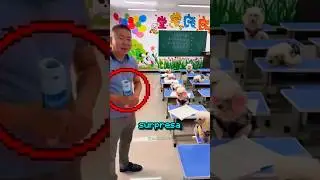 The School Where All the Students Are Puppies 🥹🐶