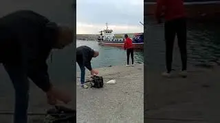 Amatör balıkçılık #fish #fishing #balıkavı #olta #oltabalıkçılığı #balıkçı #istavrit #avcı #av #omg