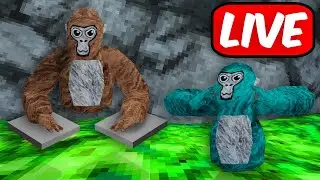 🔴Playing With YOU LIVE In Gorilla Tag🔴