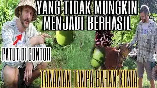 ORANG INI LUAR BIASA !!! TANAMAN HIDROPONIK DAN ORGANIK | BUMI LANGIT |
