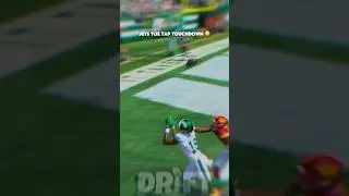 Jason Brownlee With a Sideline Touchdown Grab 🍿👀 #shorts