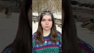 В вашем городе зимуют кряквы? #птицы