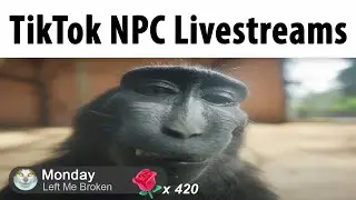 TikTok NPC Livestreams