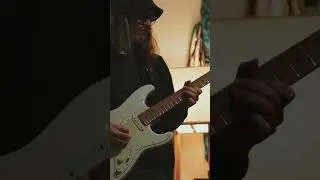 The “seal” guitar tone 🎸🦭 #guitar #tone #guitarsolo #pedal #guitarmusic #jazz #suhr #music #live