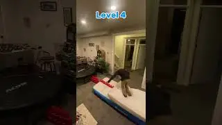 How Far Can I Flip? #viral